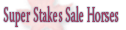Super Stakes Sale Horses