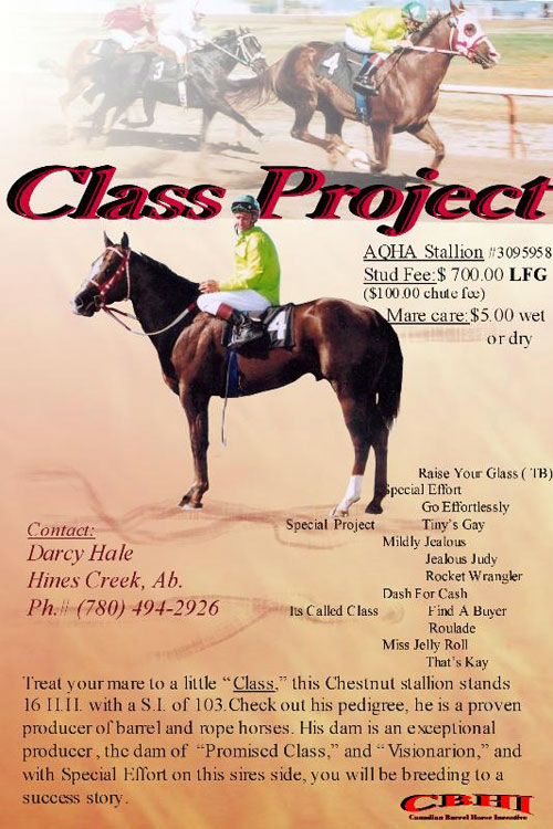 Class Project