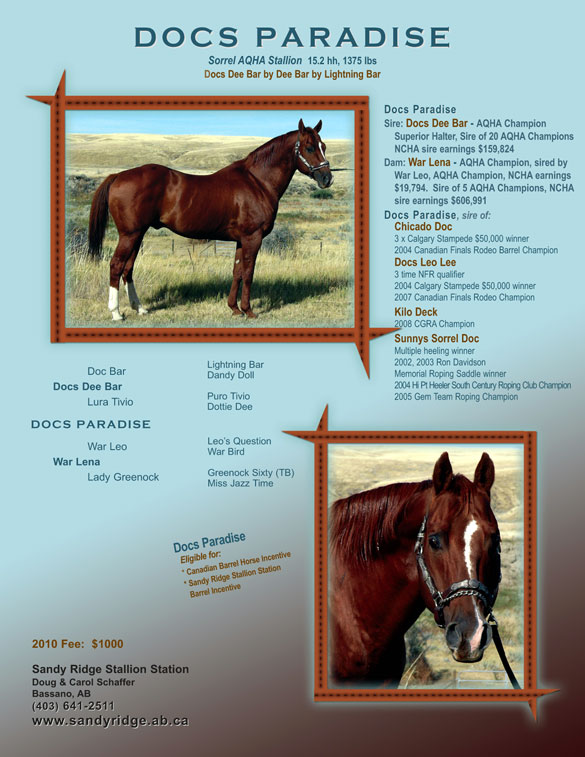 Docs Paradise by Doc Bar by Lightning Bar - Sandy Ridge Stallion Station
