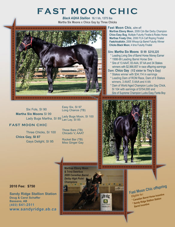 Fast Moon Chic - proven barrel sire