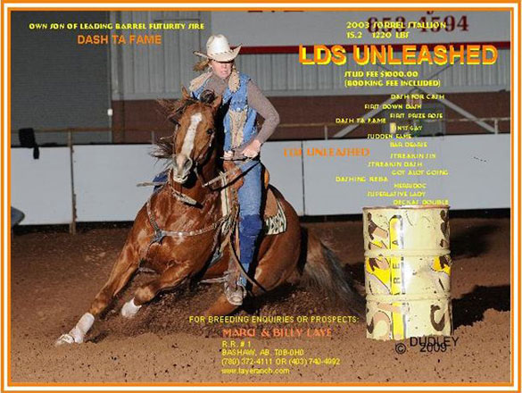 LDS Unleashed - Own son of Dash Ta Fame