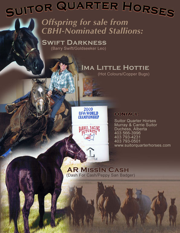 AR Missin Cash - Suitor Quarter Horses