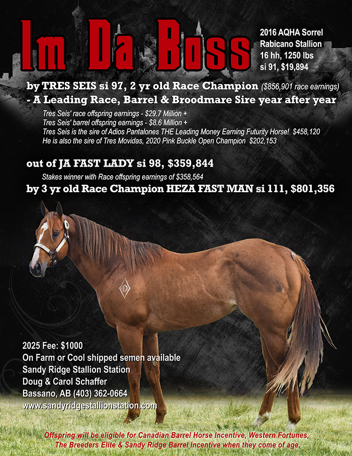 Im Da Boss - by Treis Seis - leading Race, Barrel Racing and Broodmare Sire