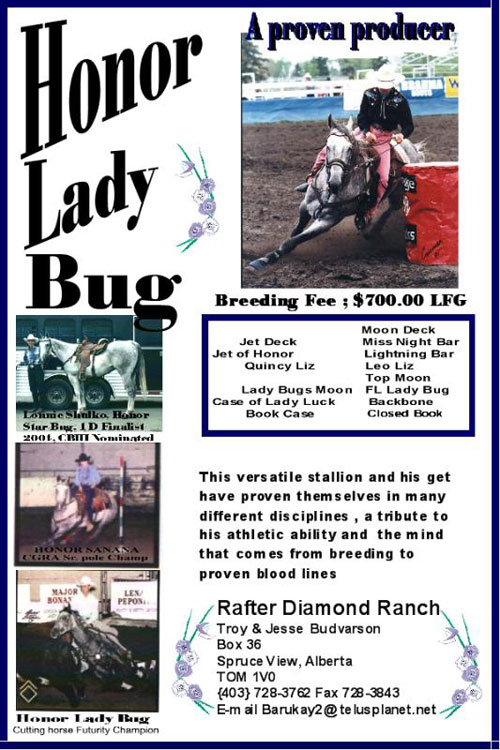 Rafter Diamond Ranch