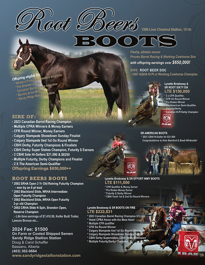 Root Beers Boots by Root Beer Doc - Standing at Sandy Ridge Stallion Station