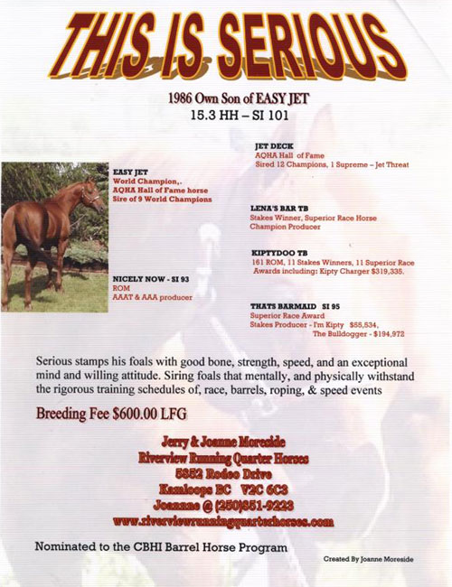 Riverview Running Quarter Horses