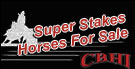 SuperStakes Horses For Sale