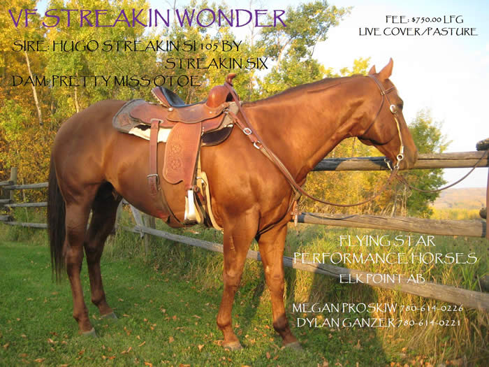 VF Streakin Wonder