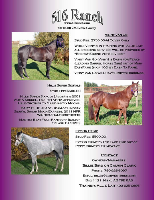 Hills Super Six Fols