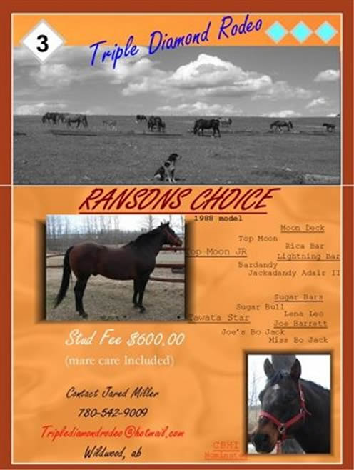 Ransons Choice